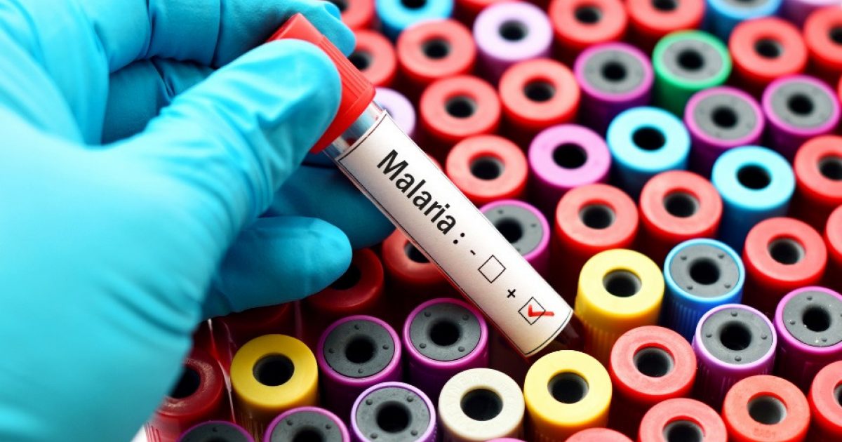 US health alert over malaria cases G&L Healthcare